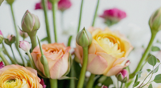 Des fleurs dans son intérieur: Abonnez-vous à des bouquets de fleurs exceptionnels
