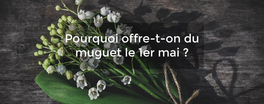 Pourquoi offre-t-on du muguet le 1er mai ? - Daily flowers