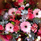 Abonnement mensuel - Daily flowers -  - Daily flowers